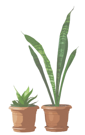植木